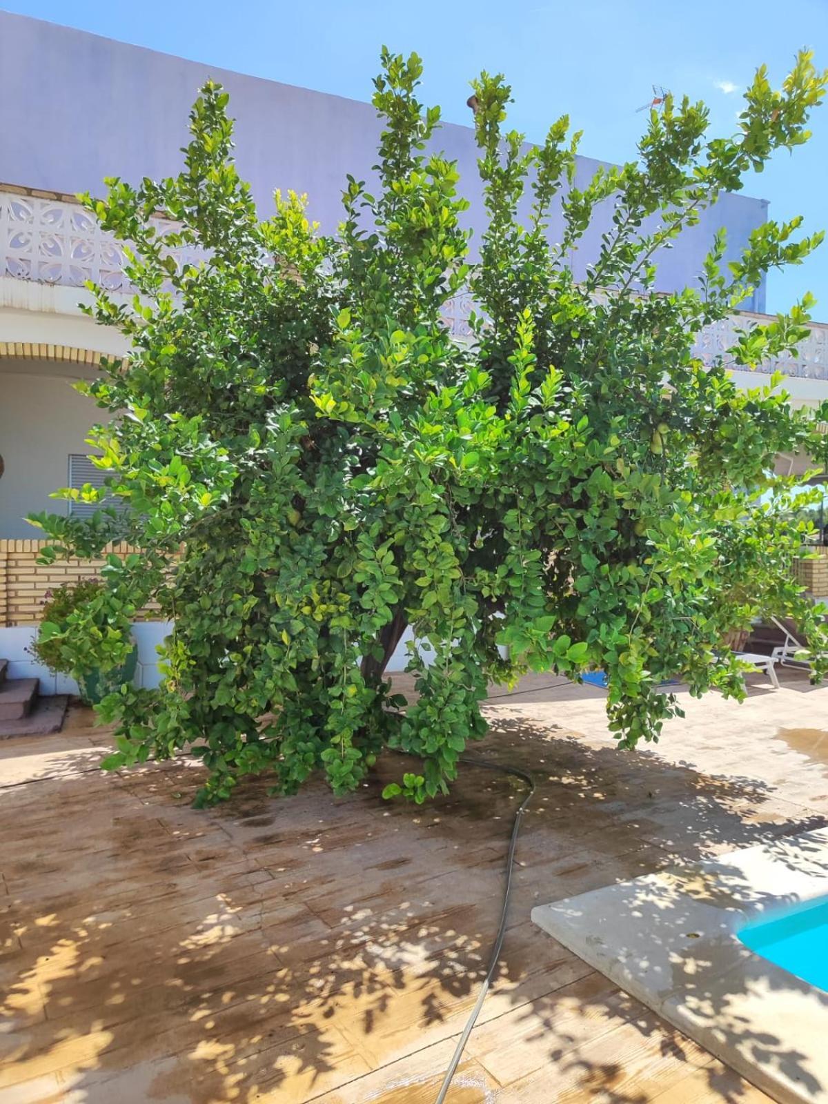 El Recreo, Private Pool & Bbq Villa Godelleta Eksteriør billede